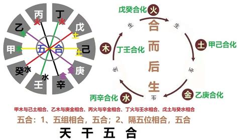 天干五合原理|传统文化阴阳五行，十天干五合奥秘，甲己合化土的原。